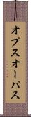 オプス Scroll