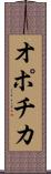 オポチカ Scroll