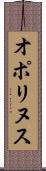 オポリヌス Scroll