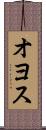 オヨス Scroll