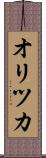 オリツカ Scroll