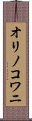 オリノコワニ Scroll