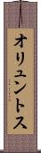 オリュントス Scroll
