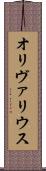 オリヴァリウス Scroll