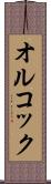 オルコック Scroll