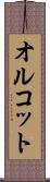 オルコット Scroll