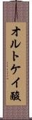 オルトケイ酸 Scroll