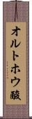 オルトホウ酸 Scroll