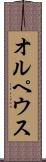 オルペウス Scroll