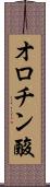 オロチン酸 Scroll