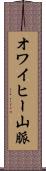オワイヒー山脈 Scroll