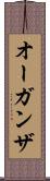 オーガンザ Scroll