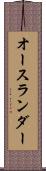 オースランダー Scroll