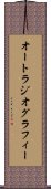 オートラジオグラフィー Scroll