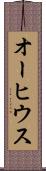 オーヒウス Scroll