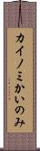 カイノミ Scroll