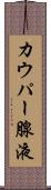 カウパー腺液 Scroll