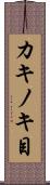 カキノキ目 Scroll