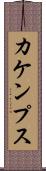 カケンプス Scroll