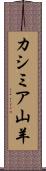 カシミア山羊 Scroll