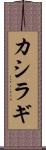 カシラギ Scroll