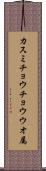 カスミチョウチョウウオ属 Scroll