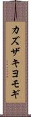 カズザキヨモギ Scroll