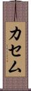 カセム Scroll