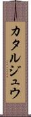 カタルジュウ Scroll