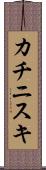 カチニスキ Scroll