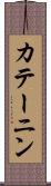 カテーニン Scroll