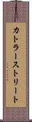 カトラーストリート Scroll