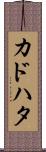 カドハタ Scroll