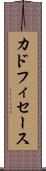 カドフィセース Scroll