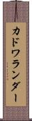 カドワランダー Scroll