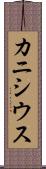 カニシウス Scroll