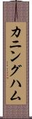 カニングハム Scroll