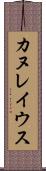 カヌレイウス Scroll