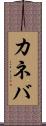 カネバ Scroll