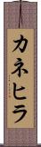 カネヒラ Scroll