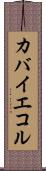 カバイエコル Scroll