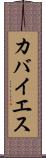 カバイエス Scroll