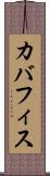 カバフィス Scroll