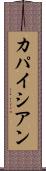 カパイシアン Scroll