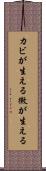 カビが生える Scroll