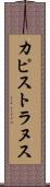 カピストラヌス Scroll