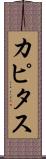 カピタス Scroll