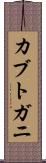 カブトガニ Scroll