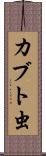 カブト虫 Scroll