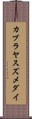 カブラヤスズメダイ Scroll